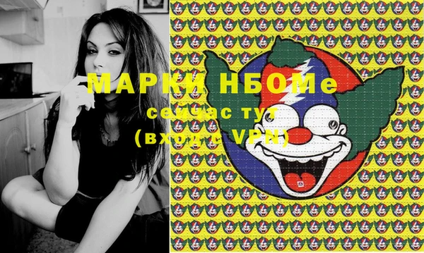 твердый Новозыбков