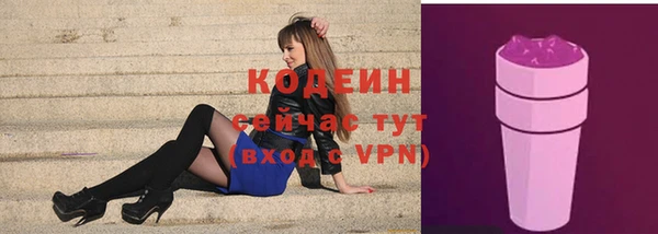 твердый Новозыбков