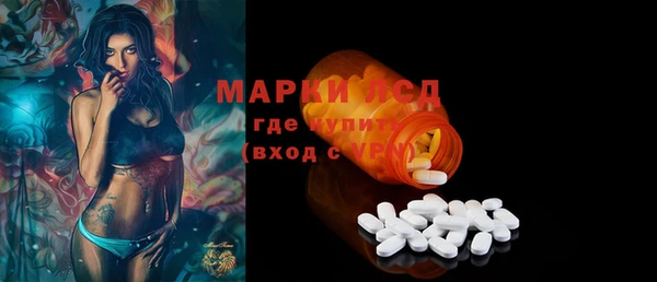 твердый Новозыбков