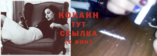 твердый Новозыбков