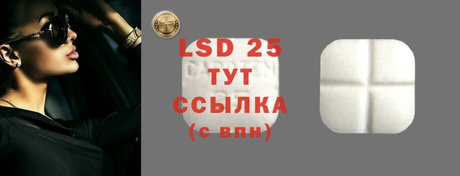 твердый Новозыбков