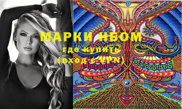 твердый Новозыбков