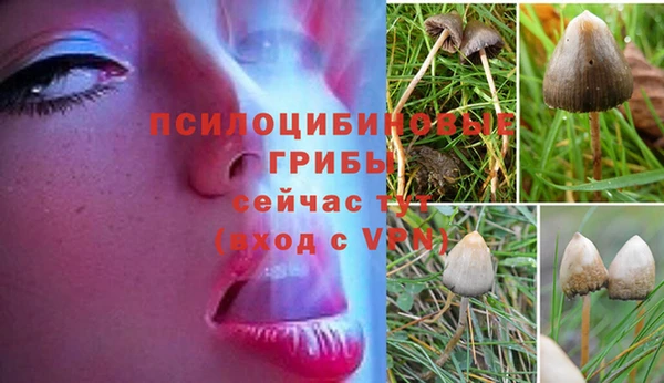 мдпв Новокубанск