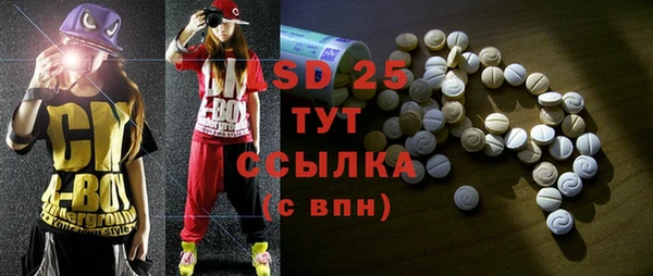 твердый Новозыбков