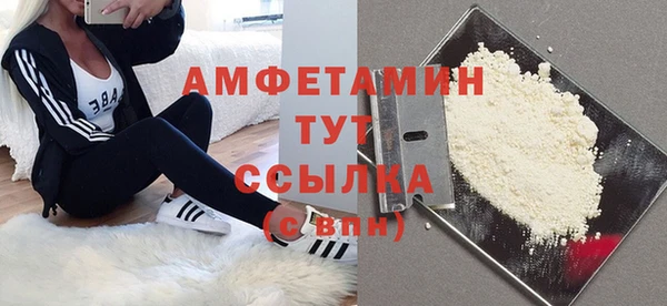 твердый Новозыбков