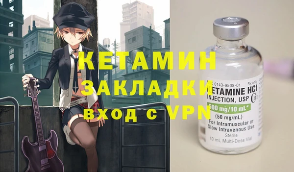 твердый Новозыбков