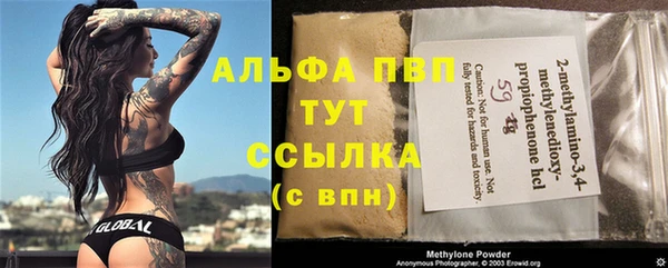 твердый Новозыбков