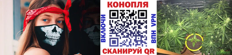 Бошки Шишки сатива  дарк нет телеграм  Углегорск 